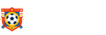 法国队直播